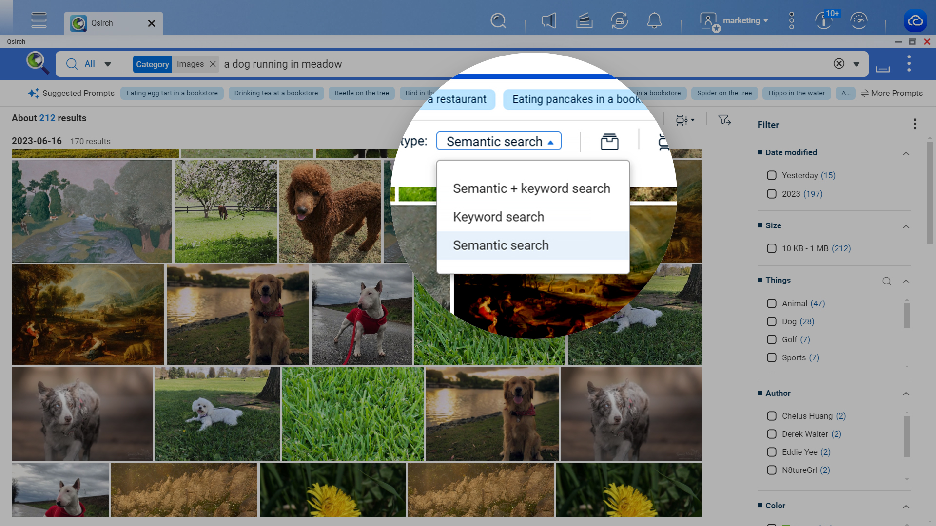 Qsirch AI 驱动的文件搜索