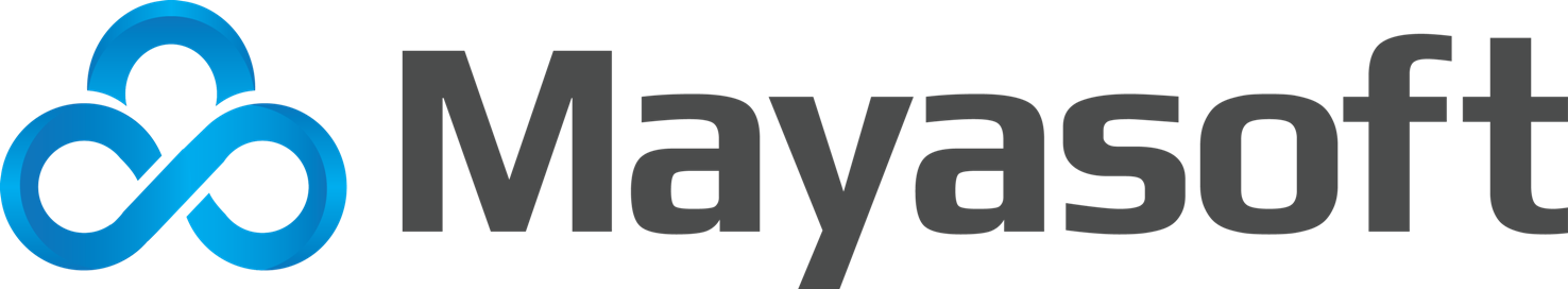 Mayasoft Bilgi Sistemleri A.Ş.