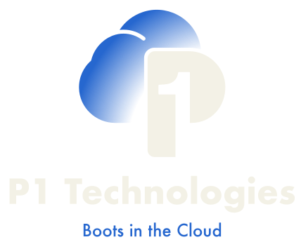 Surge Technology Group LLC dba p1 Technologies